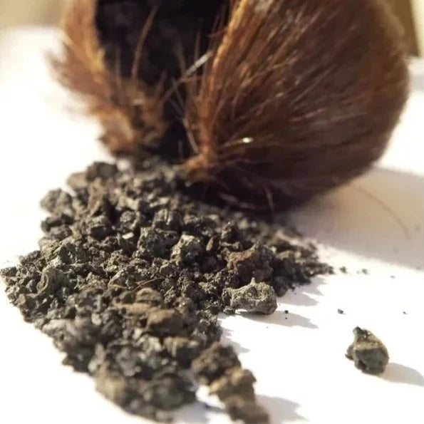 Heboro™ - Musk (10 Adet)